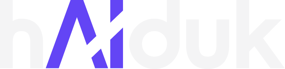 Logo of Haiduk - white lowercase letters except AI letters in the middle which are purple 